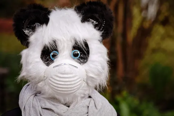 Kaszinó Fairground Slots Támogatás